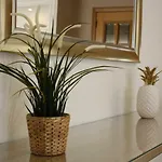 Rising Sun Appartement *